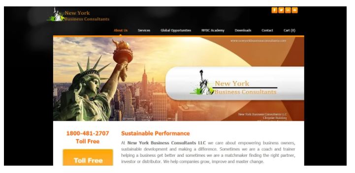 New York Business Consultants