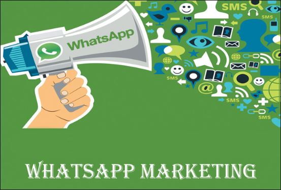 Whatsapp Marketing