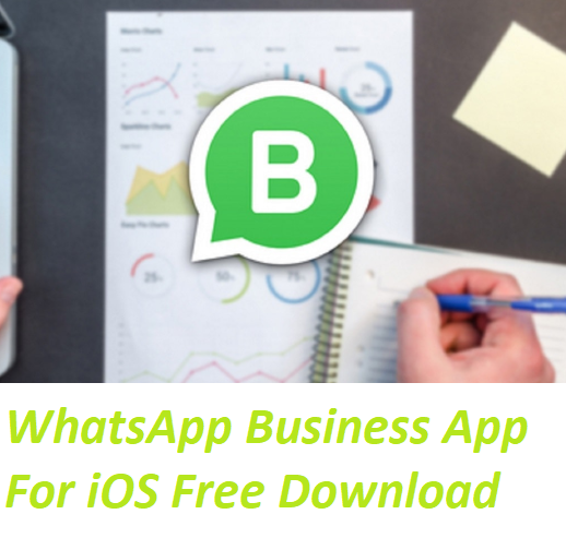 download whatsapp business for ios 6