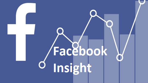 Facebook Analytic Insight Tool