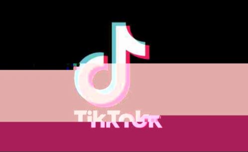TikTok Deleted About 350,000 For Spreading Election Misinformation 