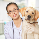 Veterinary Jobs in Canada Foreigners Can Apply For