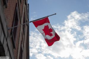Canada Work Visa Self Assessment Tests 2023